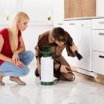 Five questions to ask your Florida pest control company.