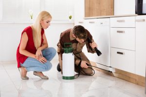 Five questions to ask your Florida pest control company.