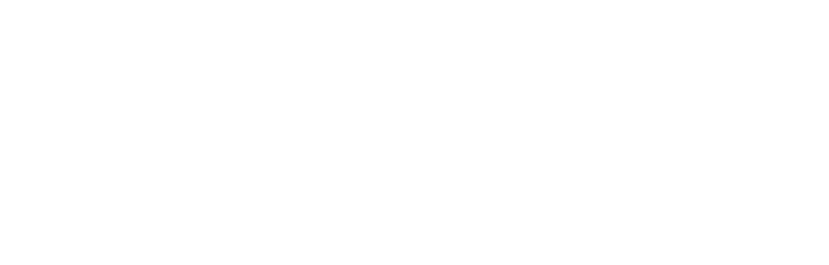Premier Termite & Pest Control
