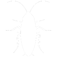 Cockroaches Pest Control