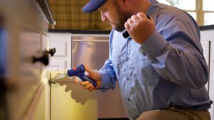 Pest Control Services