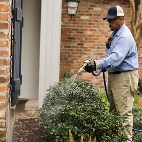 About 3 Pest Control Technician