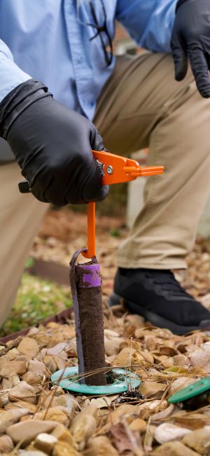 About 2 Premier Pest Control