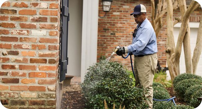 Rodent Control 8 Rodent Repellant 1