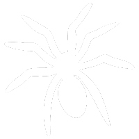 Spiders Pest Control