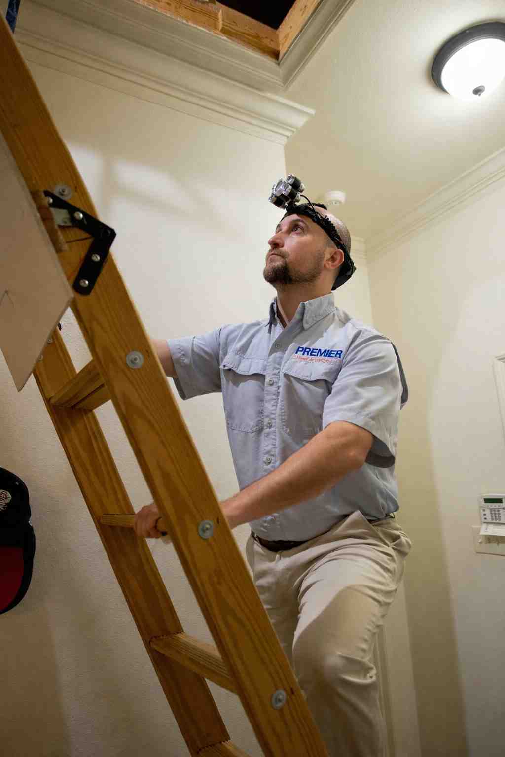 About Premier Termite and Pest Control Pensacola Gulf Breeze About Premier Termite and Pest Control Pensacola Gulf Breeze