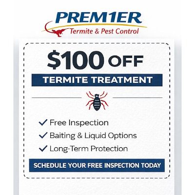 Best Termite Control Gulf Breeze Navarre Pensacola FL