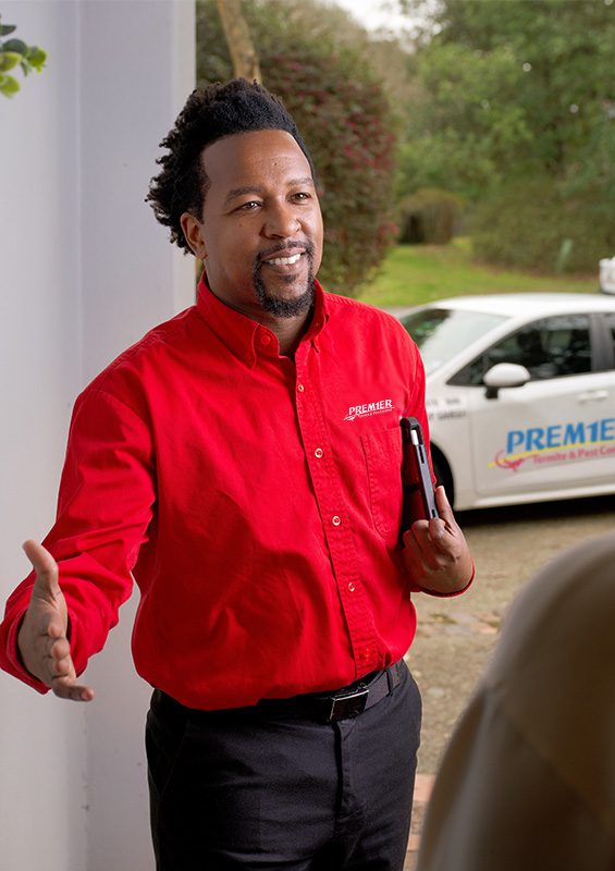 Pest Control Consultation