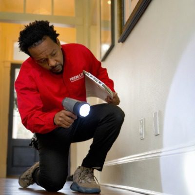 pest control gulf breeze navarre pensacola fl